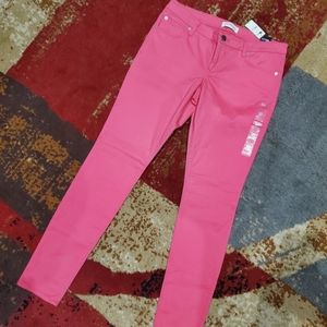 Express Stella Regular Fit Low-Rise Jean Legging